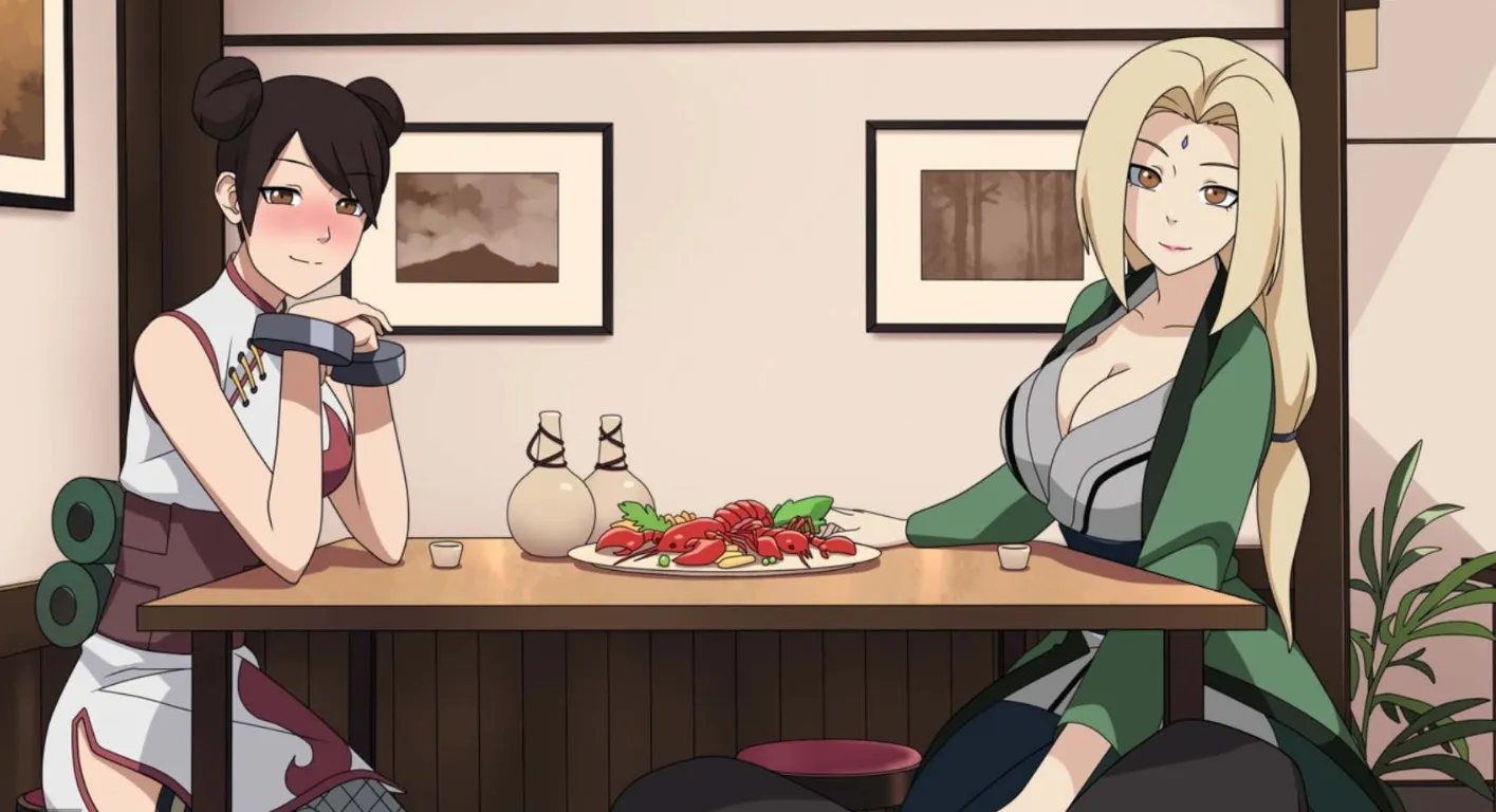 女忍者训练师游戏封面